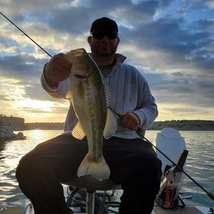 Meet your Posher, Lyle